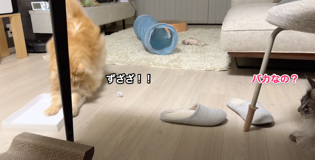 f:id:chikojirou:20220204215535j:plain