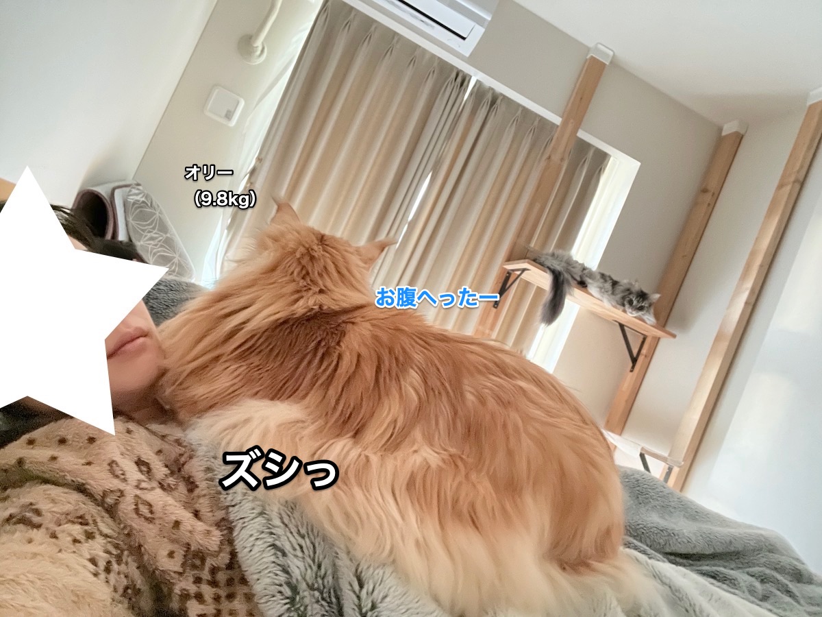 f:id:chikojirou:20220205220151j:plain