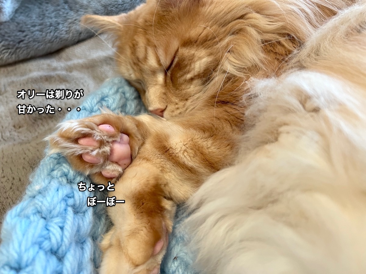 f:id:chikojirou:20220205220202j:plain