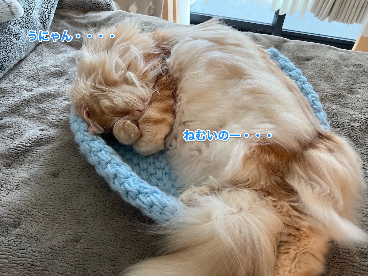 f:id:chikojirou:20220205220205j:plain