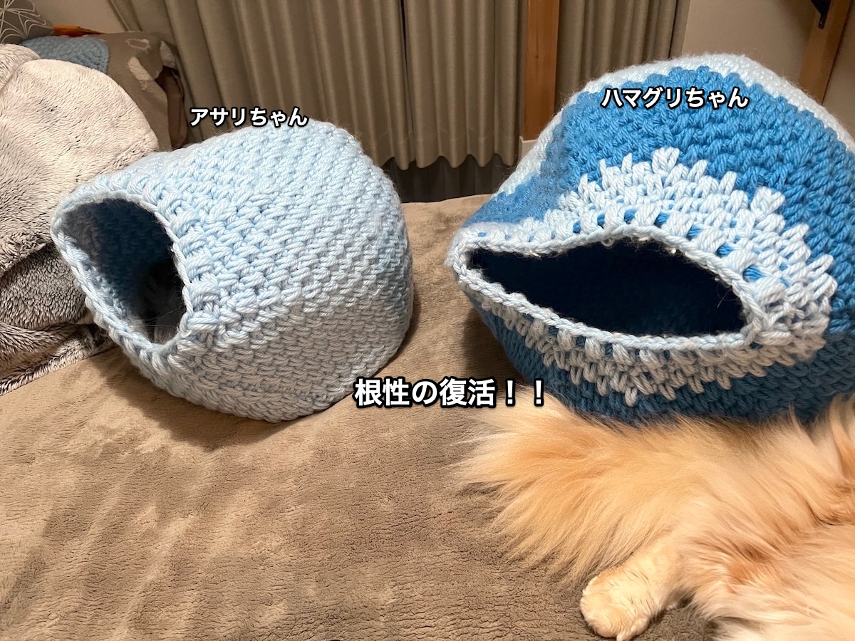 f:id:chikojirou:20220207220544j:plain