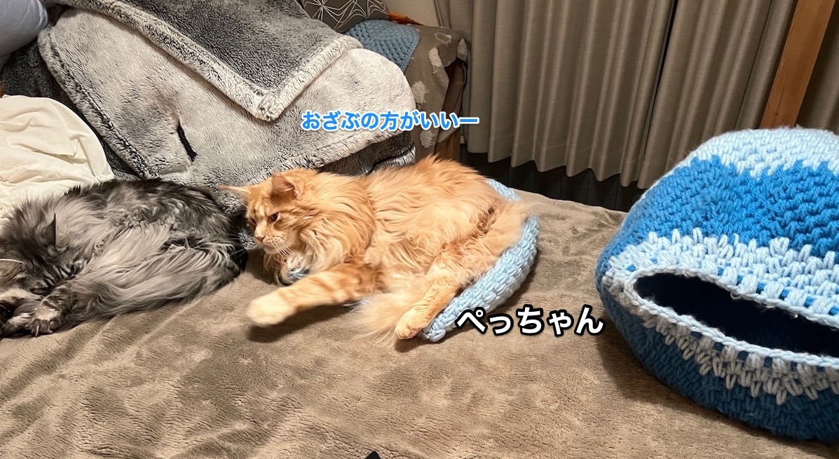 f:id:chikojirou:20220207220550j:plain