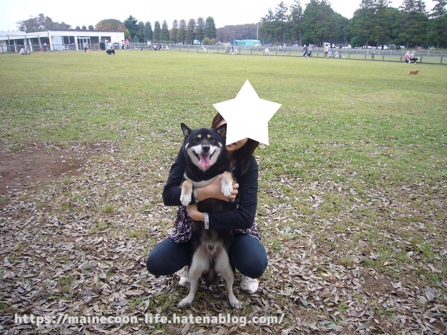 f:id:chikojirou:20220209212812j:plain