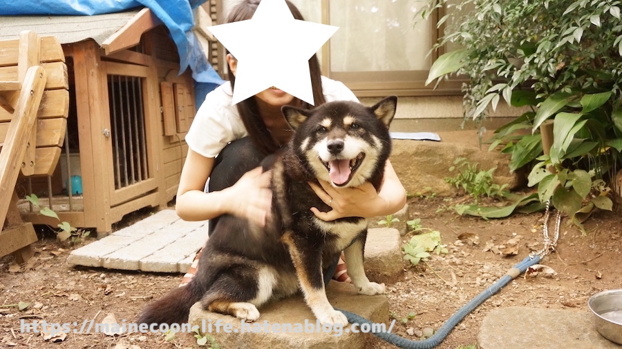 f:id:chikojirou:20220209212818j:plain