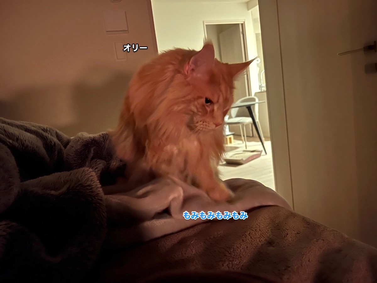 f:id:chikojirou:20220228223617j:plain
