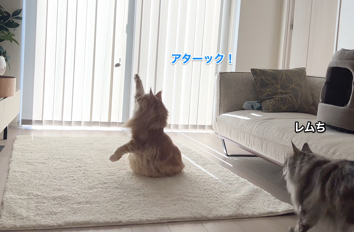 f:id:chikojirou:20220228223626j:plain