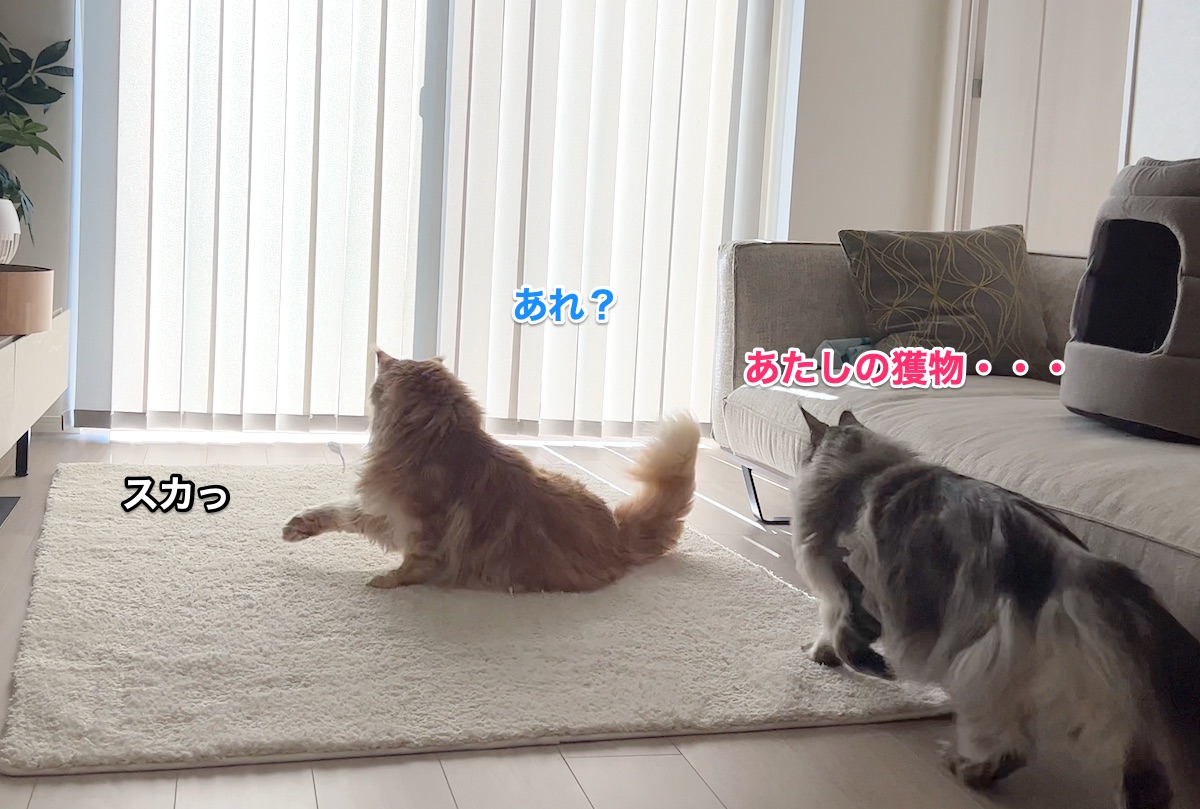 f:id:chikojirou:20220228223629j:plain