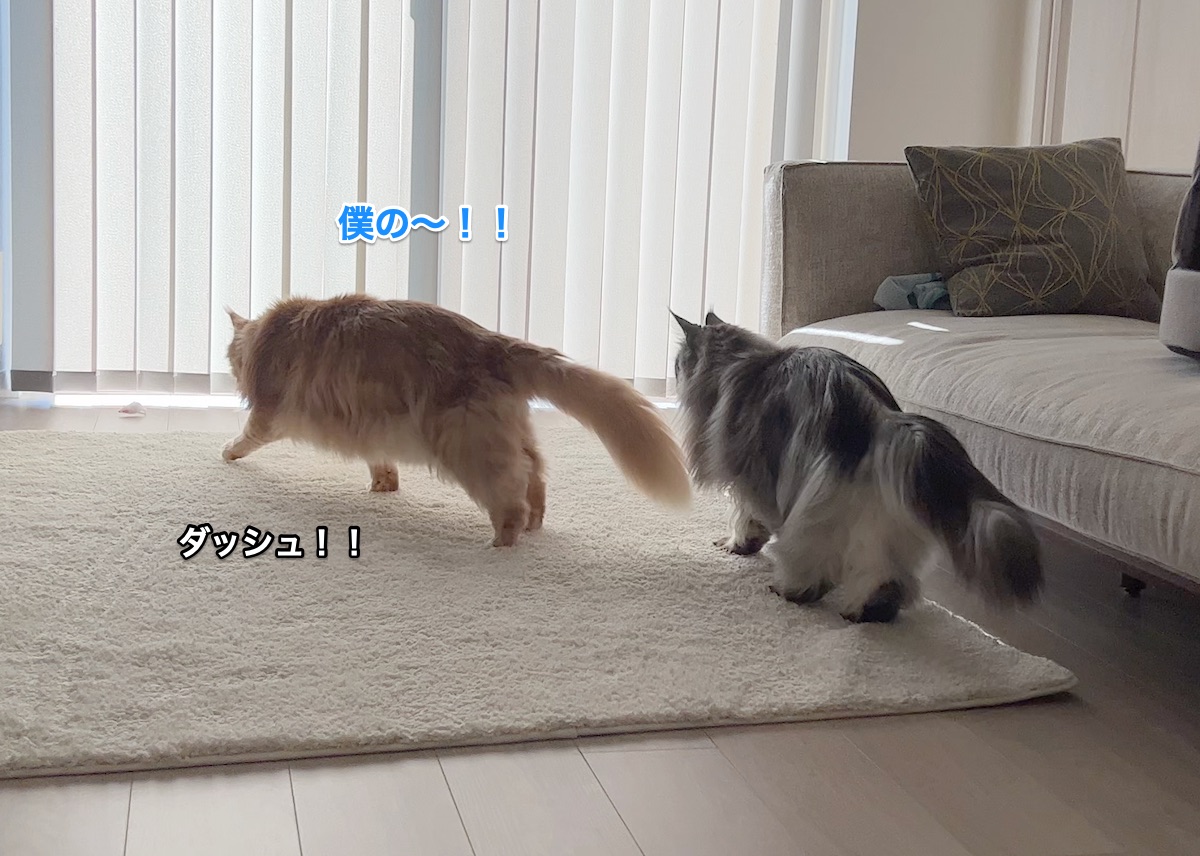 f:id:chikojirou:20220228223631j:plain