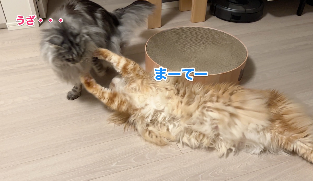 f:id:chikojirou:20220302224445j:plain