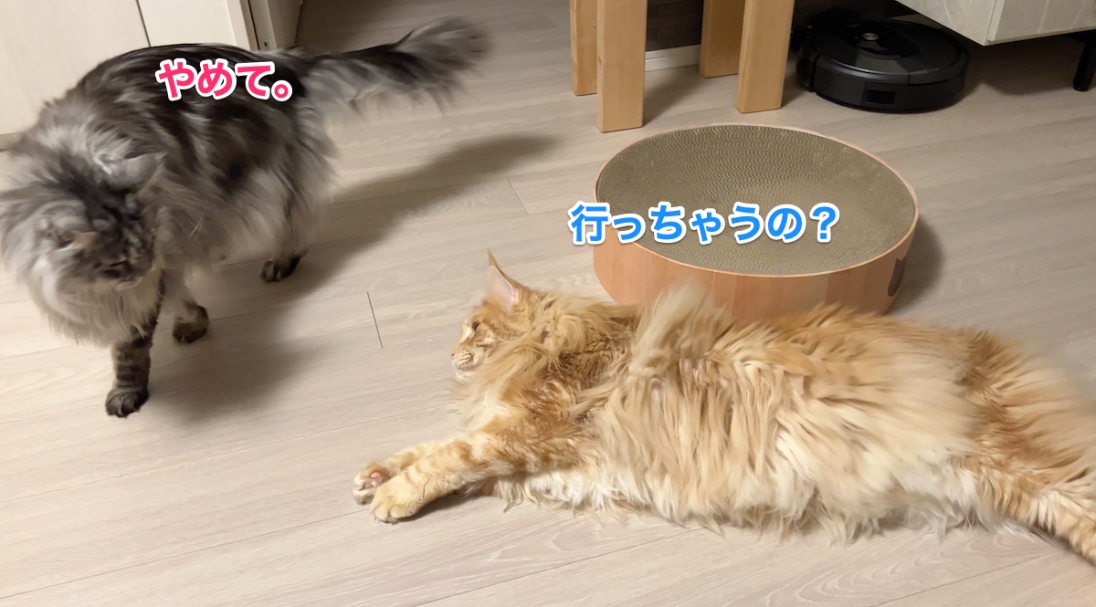 f:id:chikojirou:20220302224448j:plain