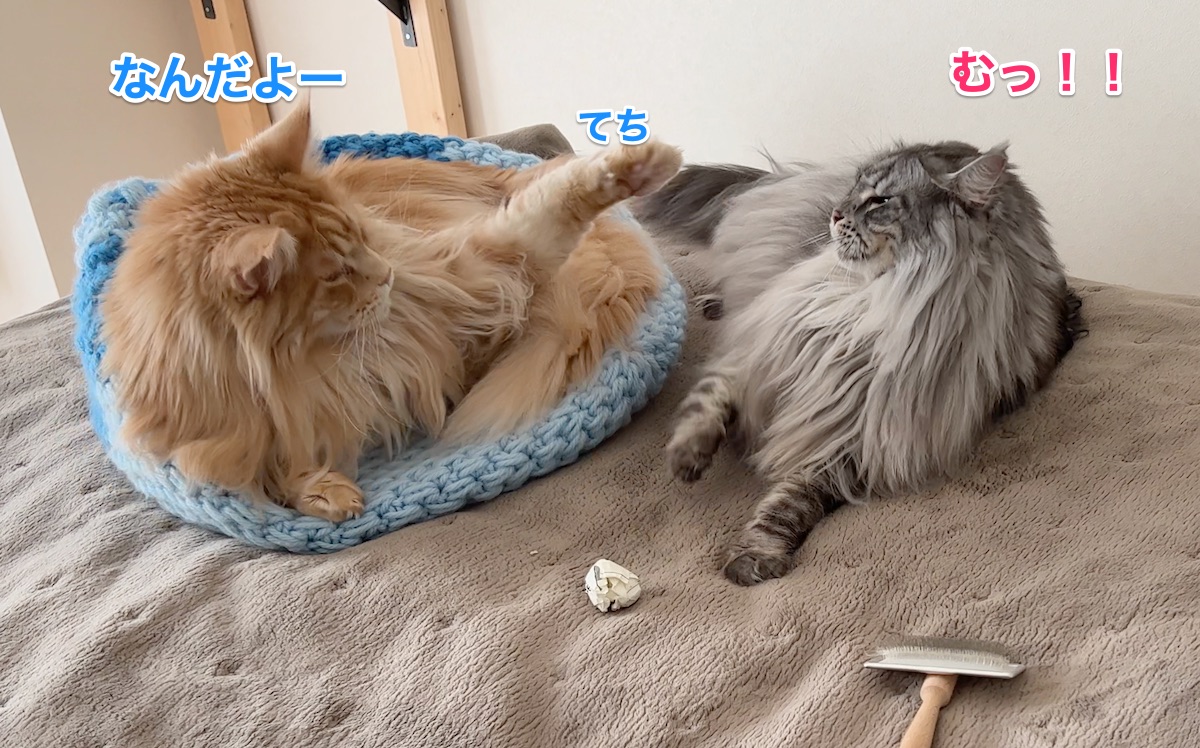 f:id:chikojirou:20220304211248j:plain