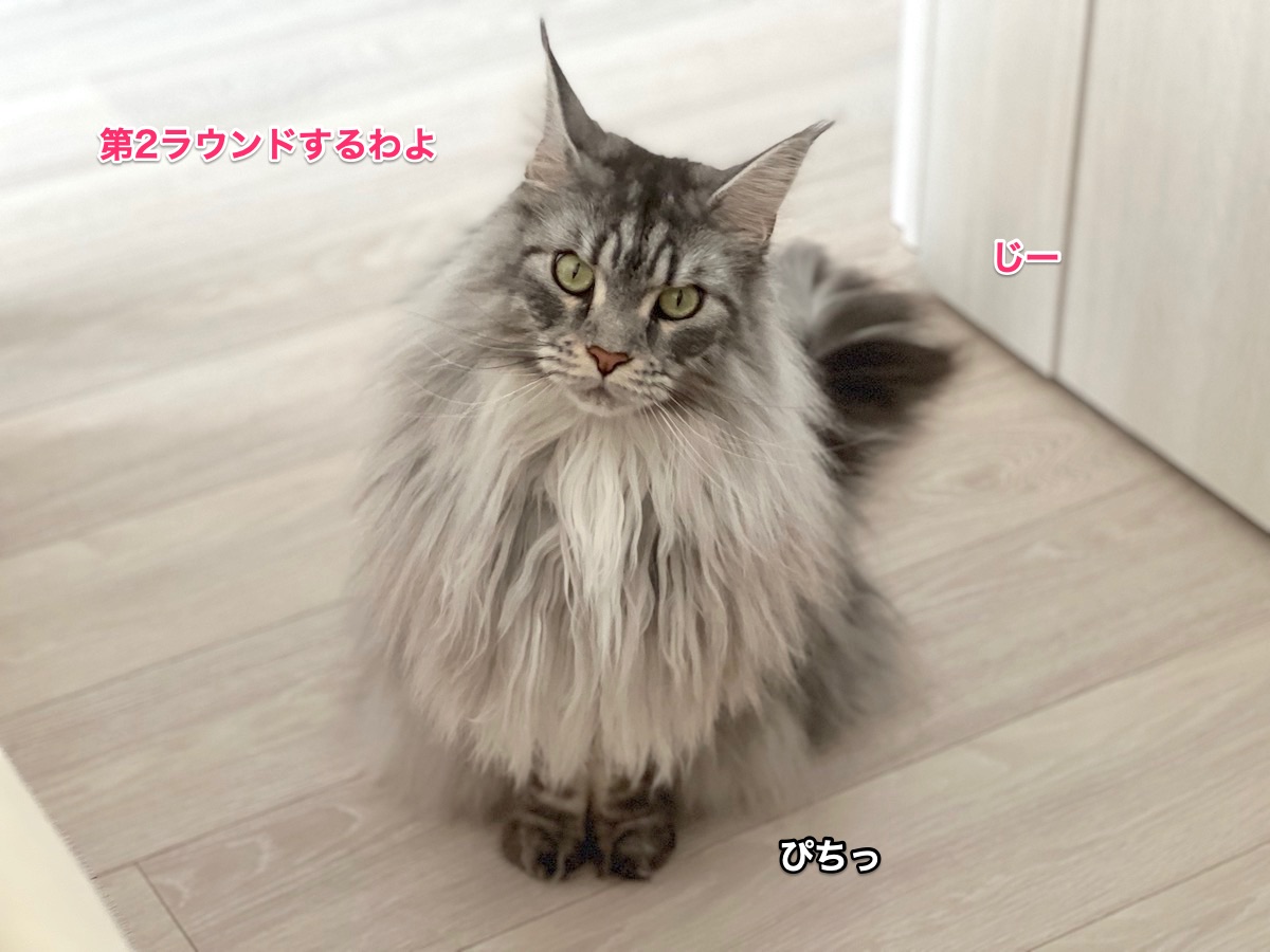 f:id:chikojirou:20220307222045j:plain