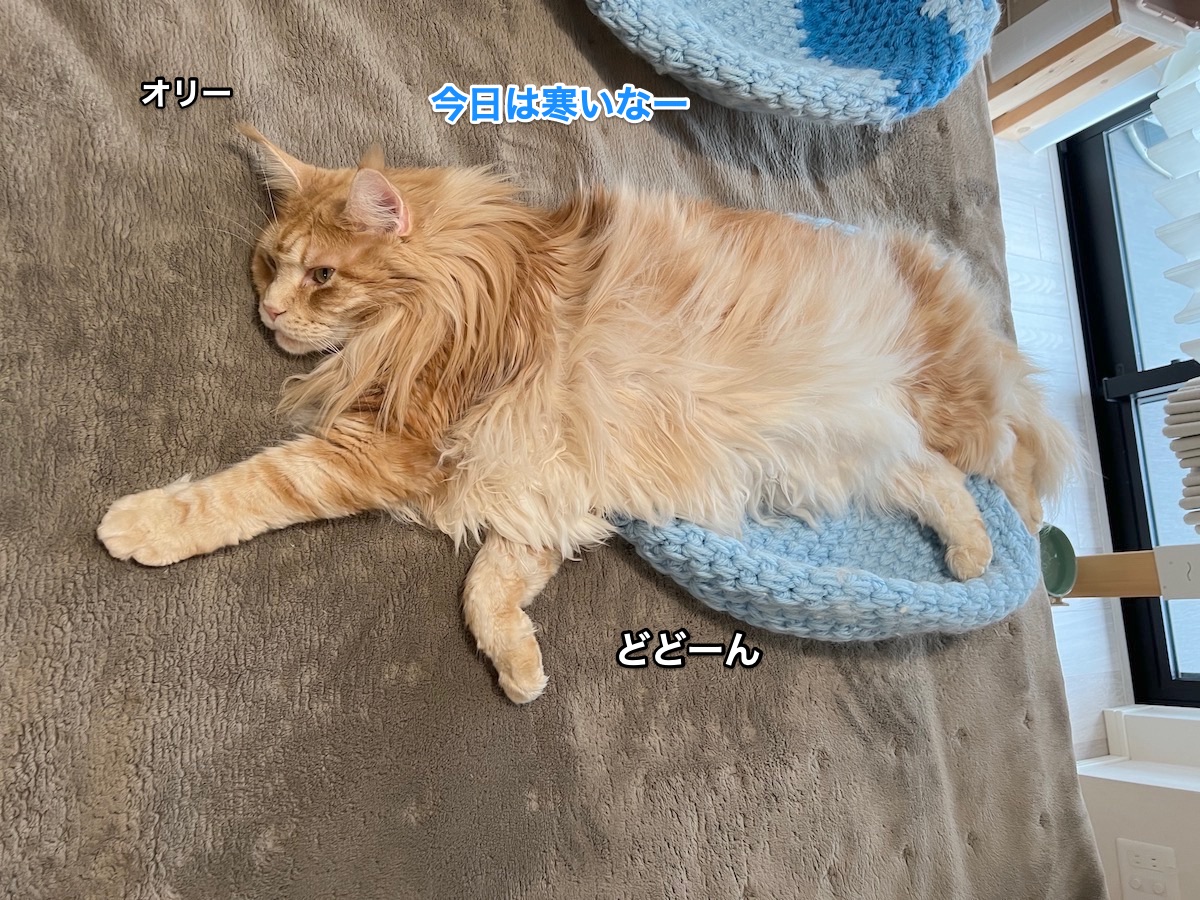 f:id:chikojirou:20220308222805j:plain