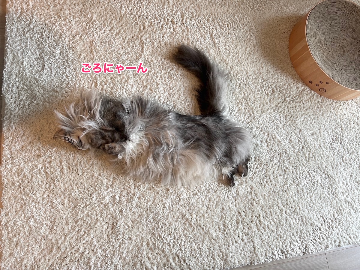 f:id:chikojirou:20220308222814j:plain