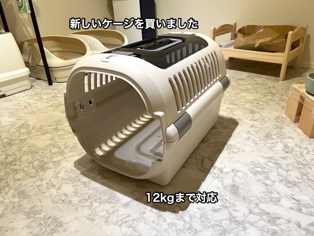 f:id:chikojirou:20220308222820j:plain