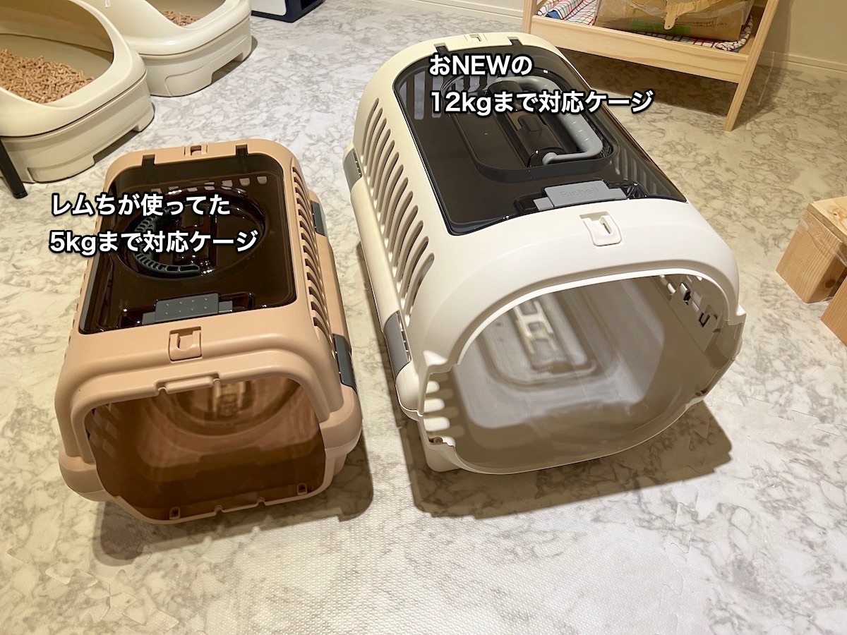f:id:chikojirou:20220308222823j:plain