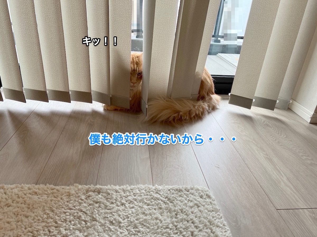 f:id:chikojirou:20220308222829j:plain