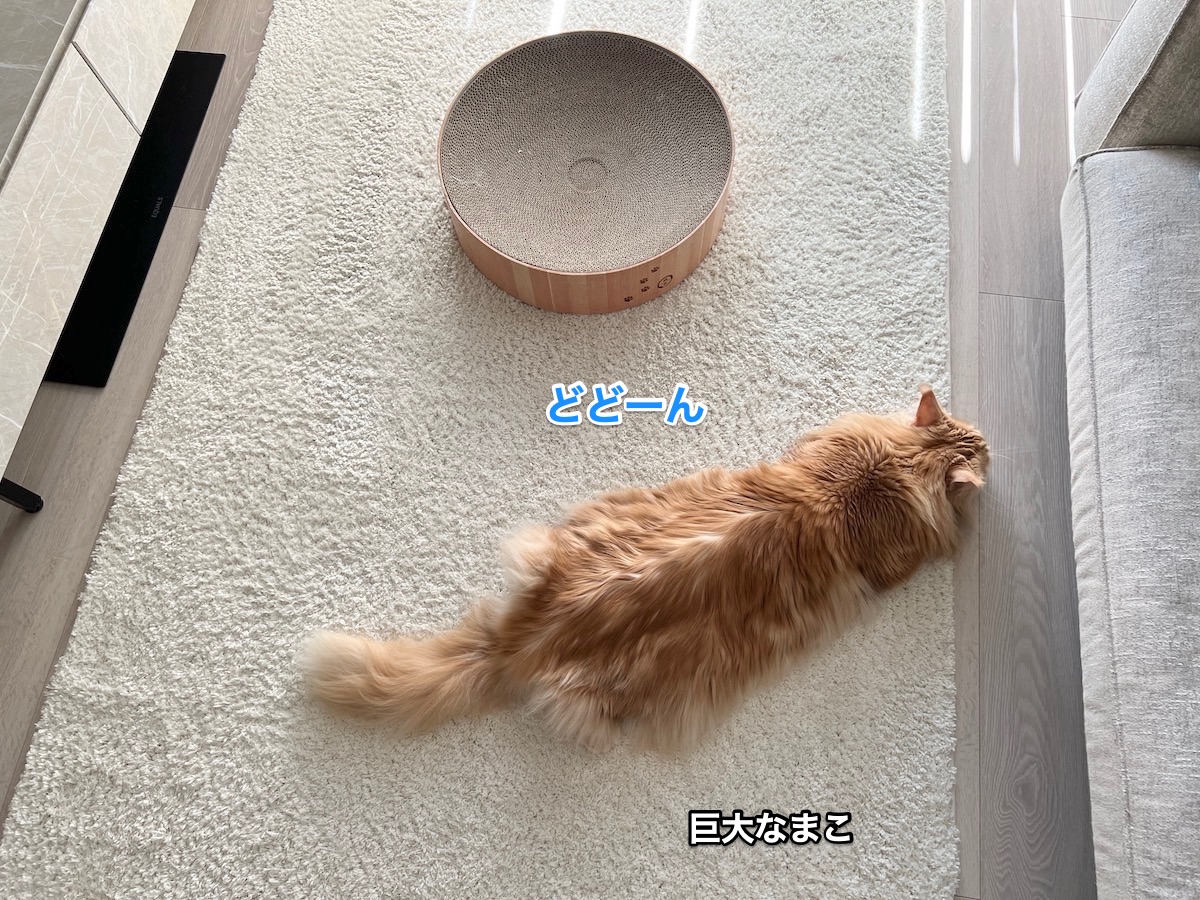 f:id:chikojirou:20220314225932j:plain