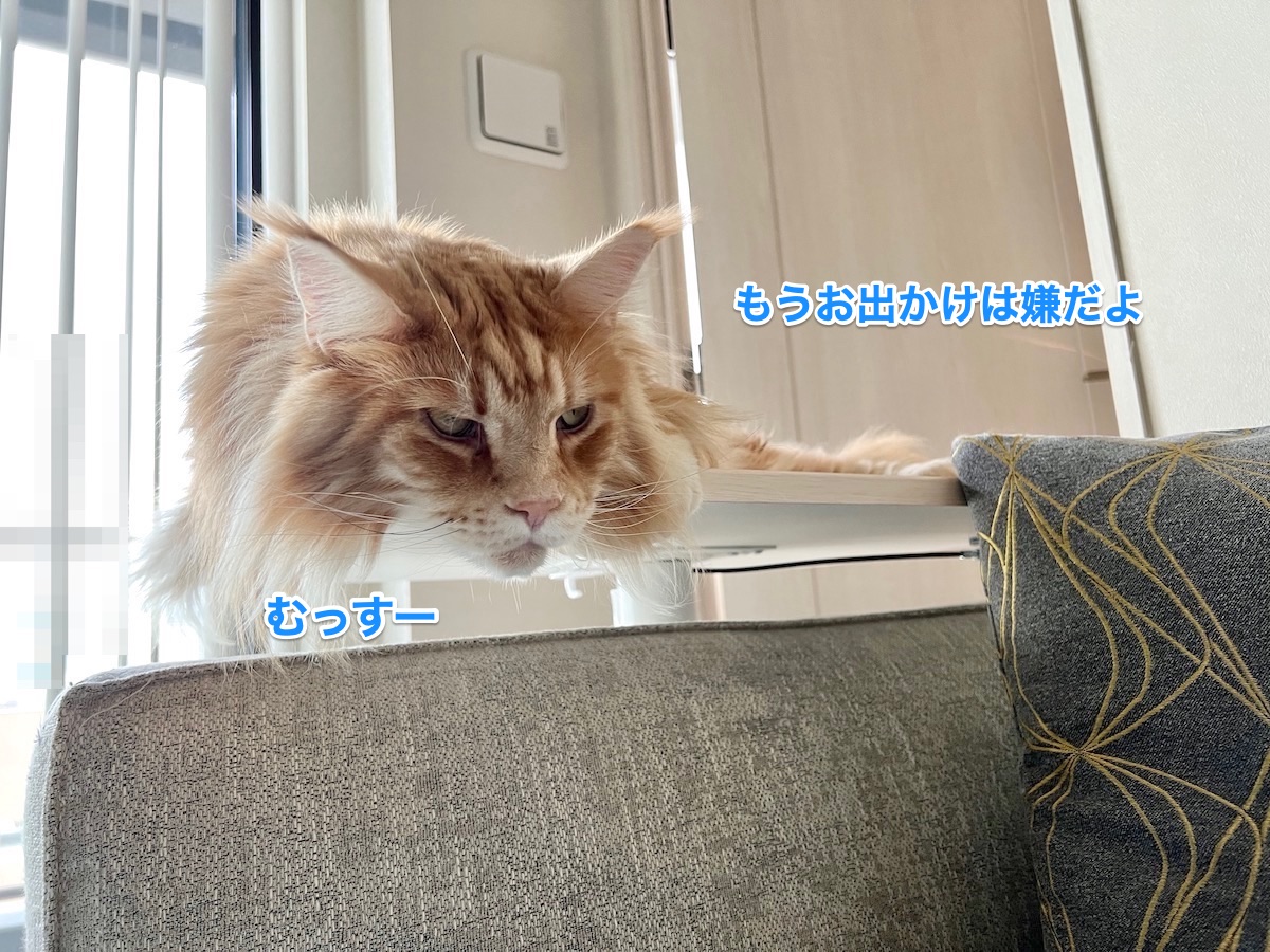 f:id:chikojirou:20220319215717j:plain