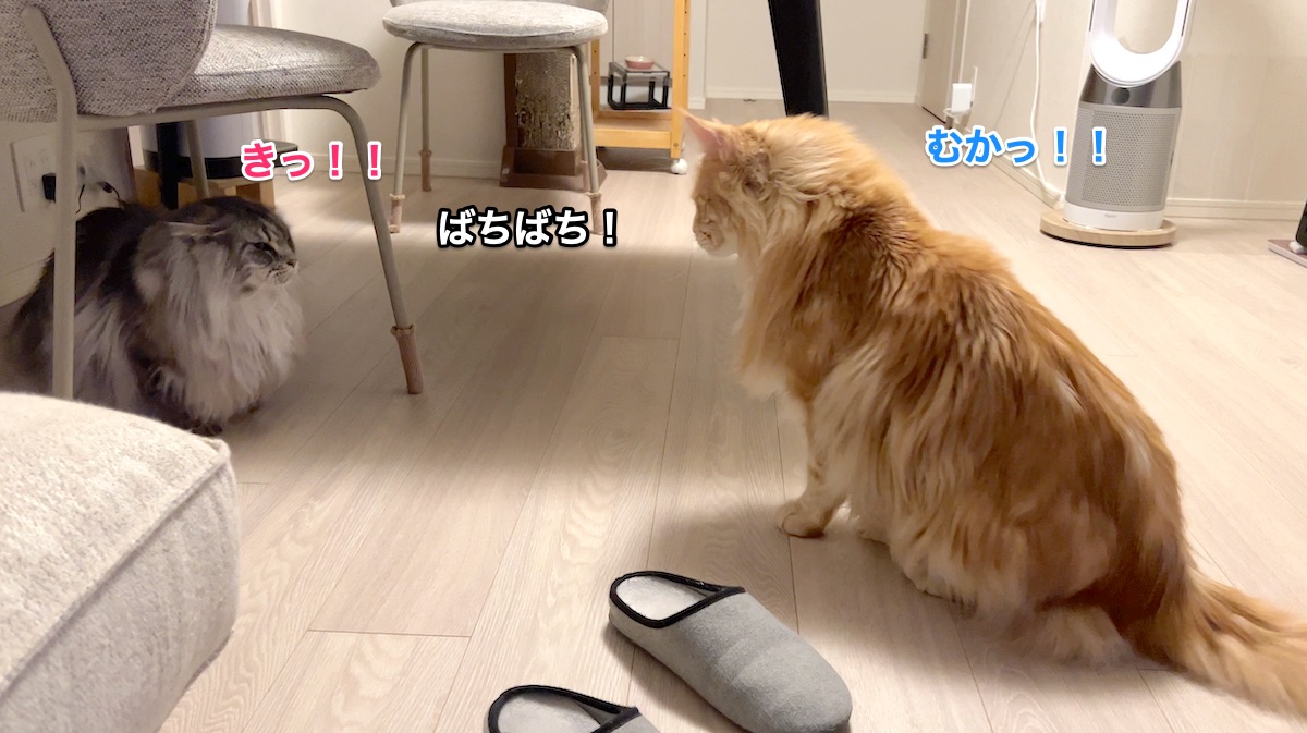 f:id:chikojirou:20220324222633j:plain