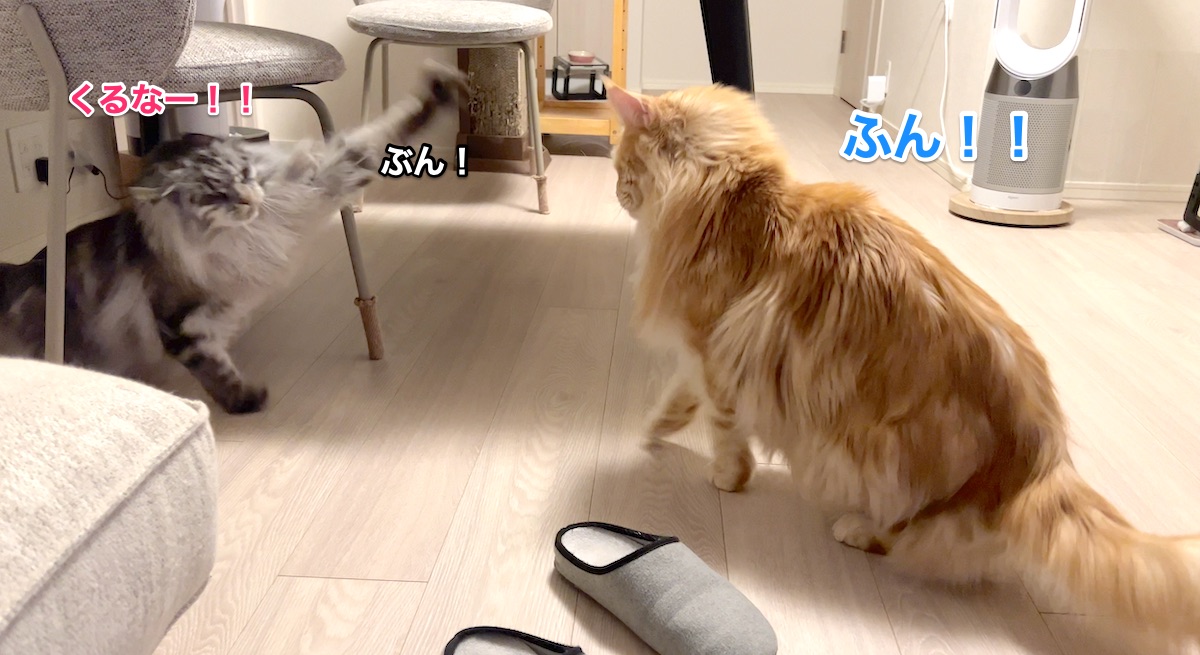 f:id:chikojirou:20220324222635j:plain