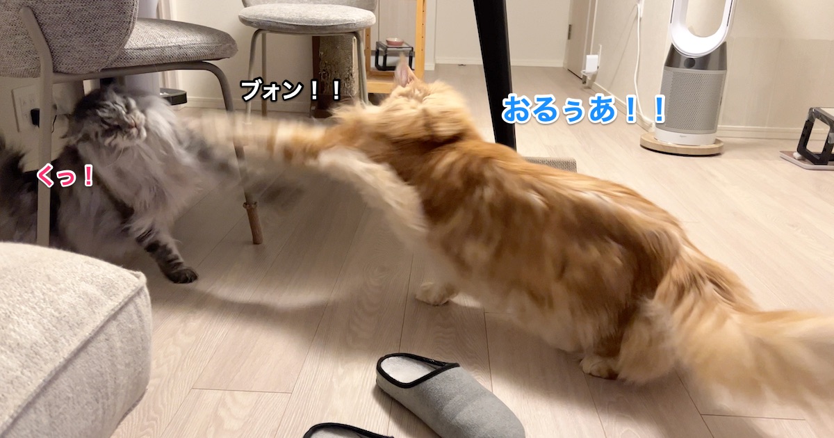 f:id:chikojirou:20220324222638j:plain