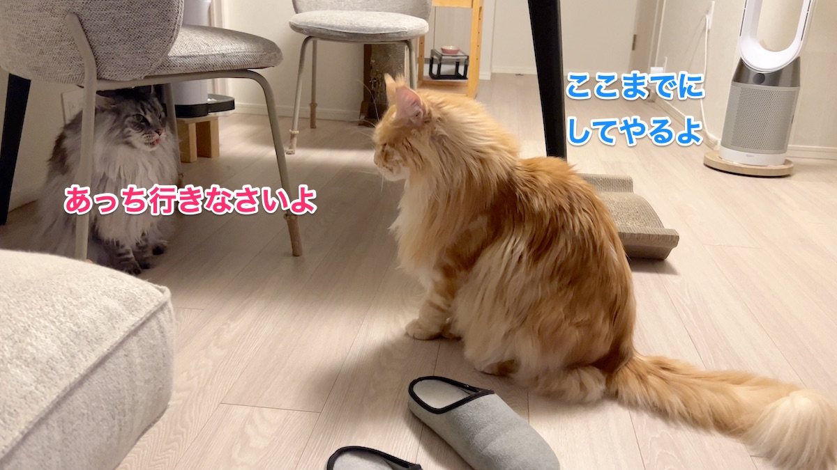 f:id:chikojirou:20220324222641j:plain