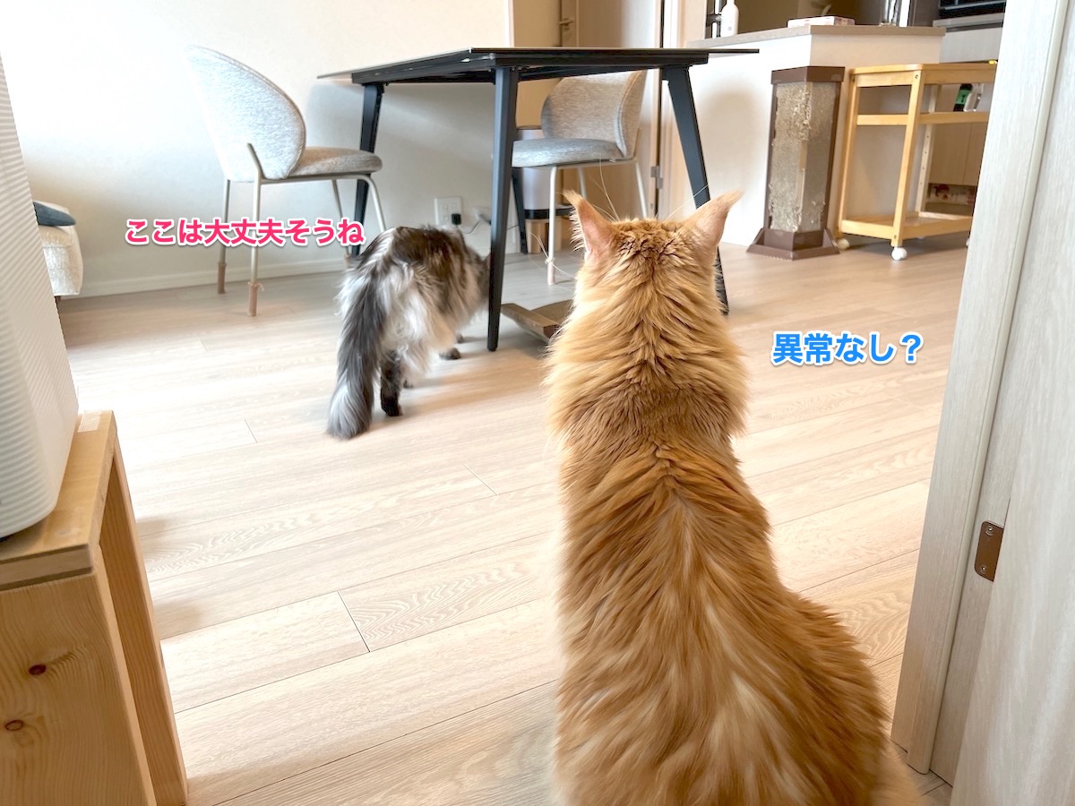 f:id:chikojirou:20220327150603j:plain