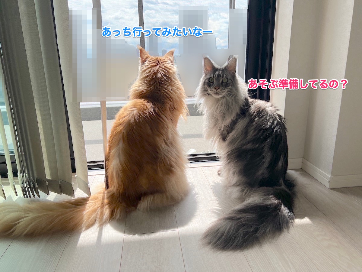 f:id:chikojirou:20220405214210j:plain