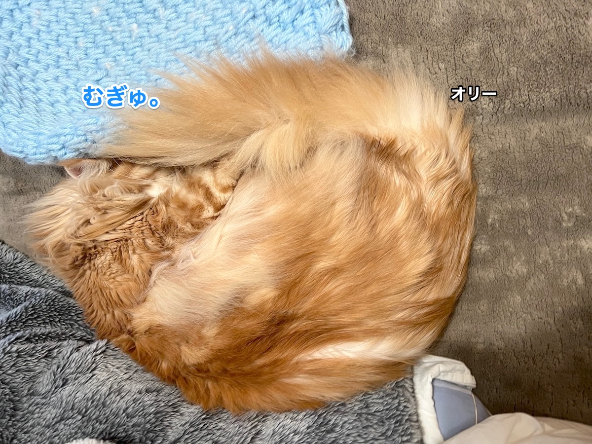 f:id:chikojirou:20220406205402j:plain