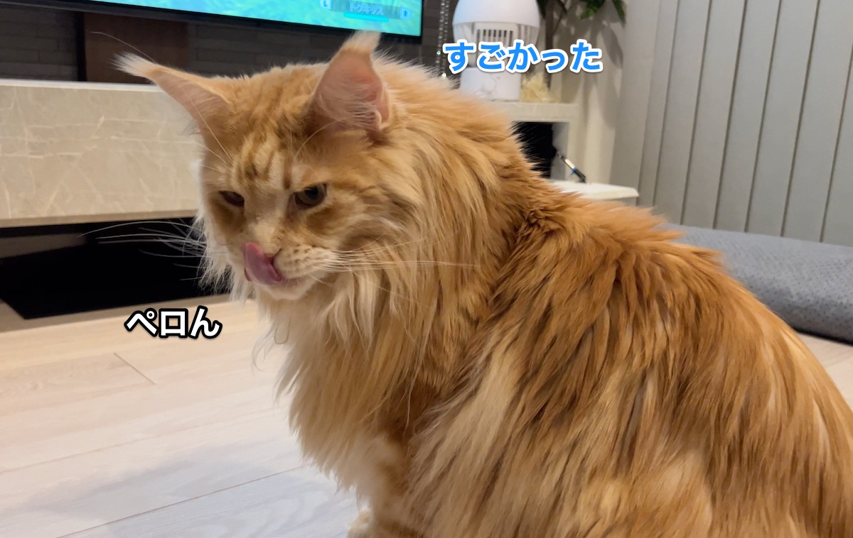f:id:chikojirou:20220407224142j:plain