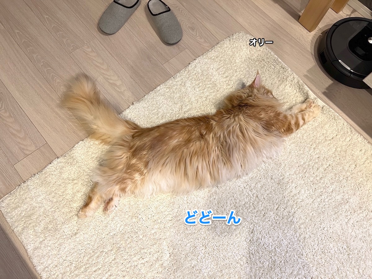 f:id:chikojirou:20220411220727j:plain