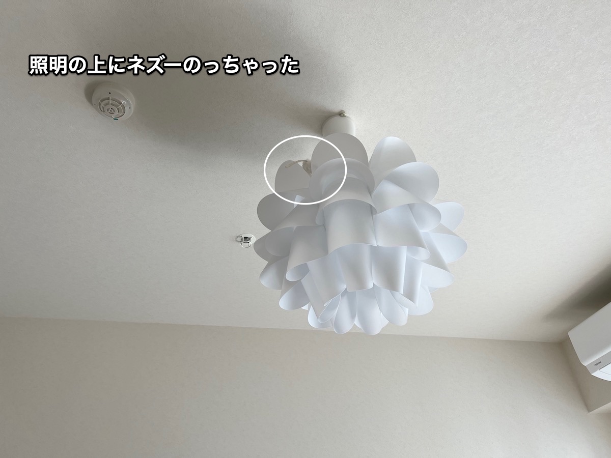 f:id:chikojirou:20220416214927j:plain