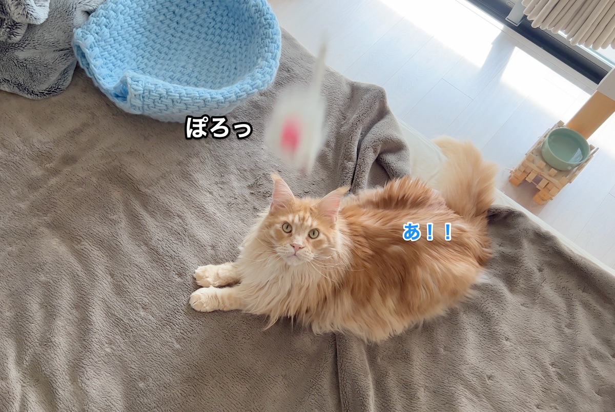 f:id:chikojirou:20220416214932j:plain