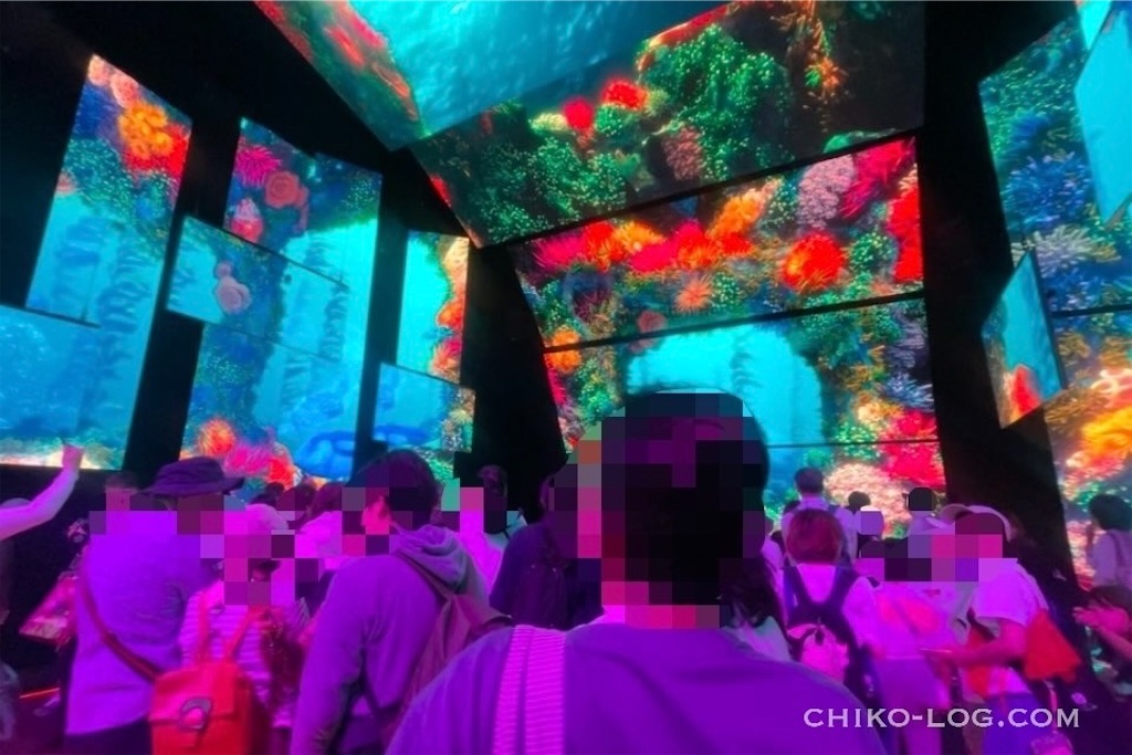 f:id:chikotam:20250921020800j:image