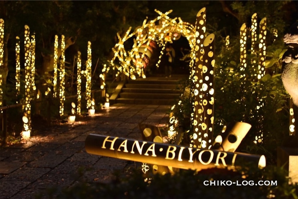 f:id:chikotam:20251227141639j:image