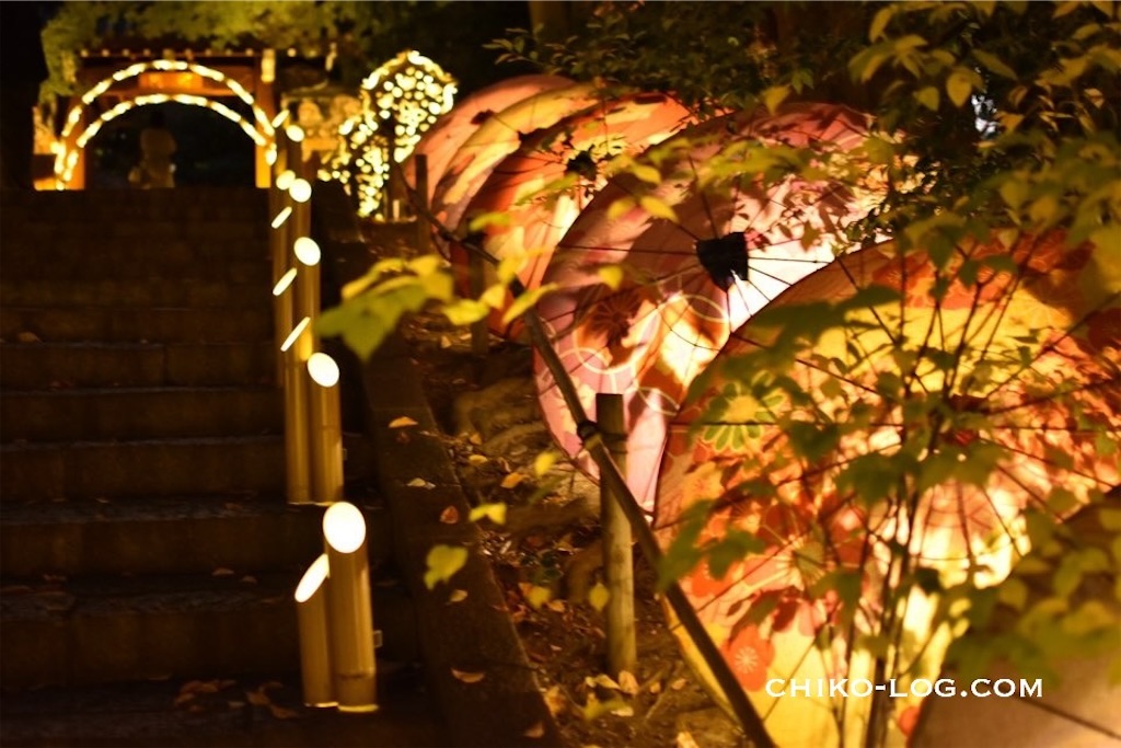 f:id:chikotam:20251227141733j:image