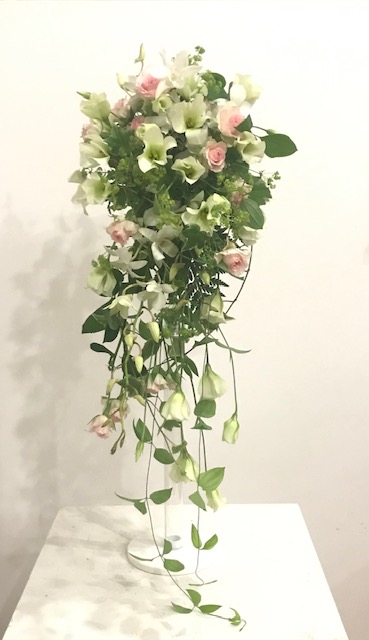 f:id:chikotto_chiko24:20190522093721j:plain f:id:chikotto_chiko24:20190522093721j:plain