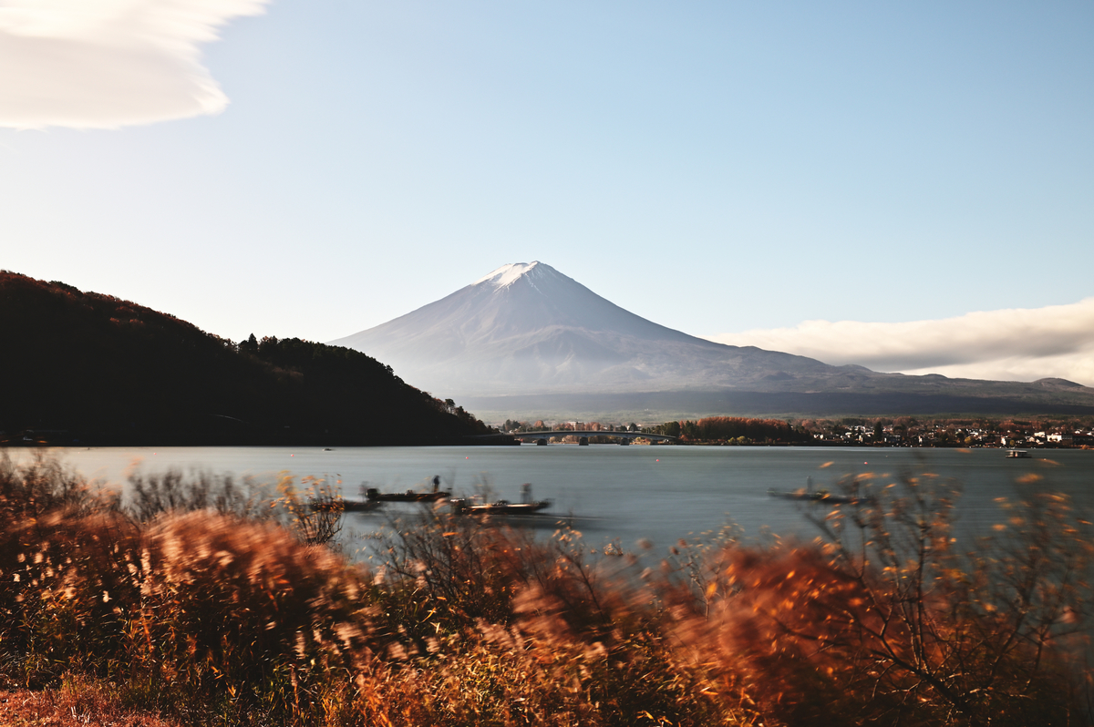 f:id:chiku-revo:20201125221405j:plain
