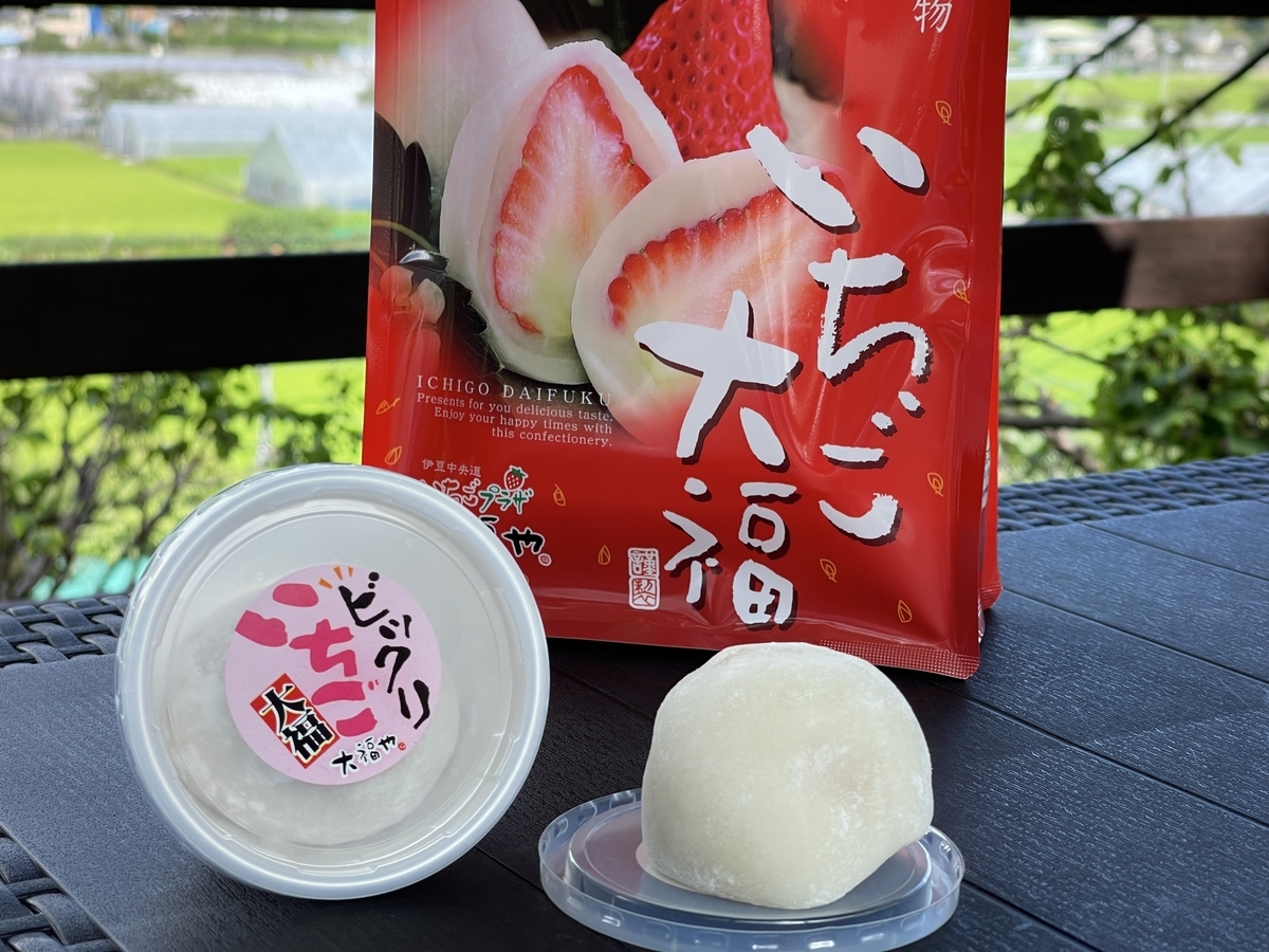 f:id:chiku-revo:20210820125452j:plain