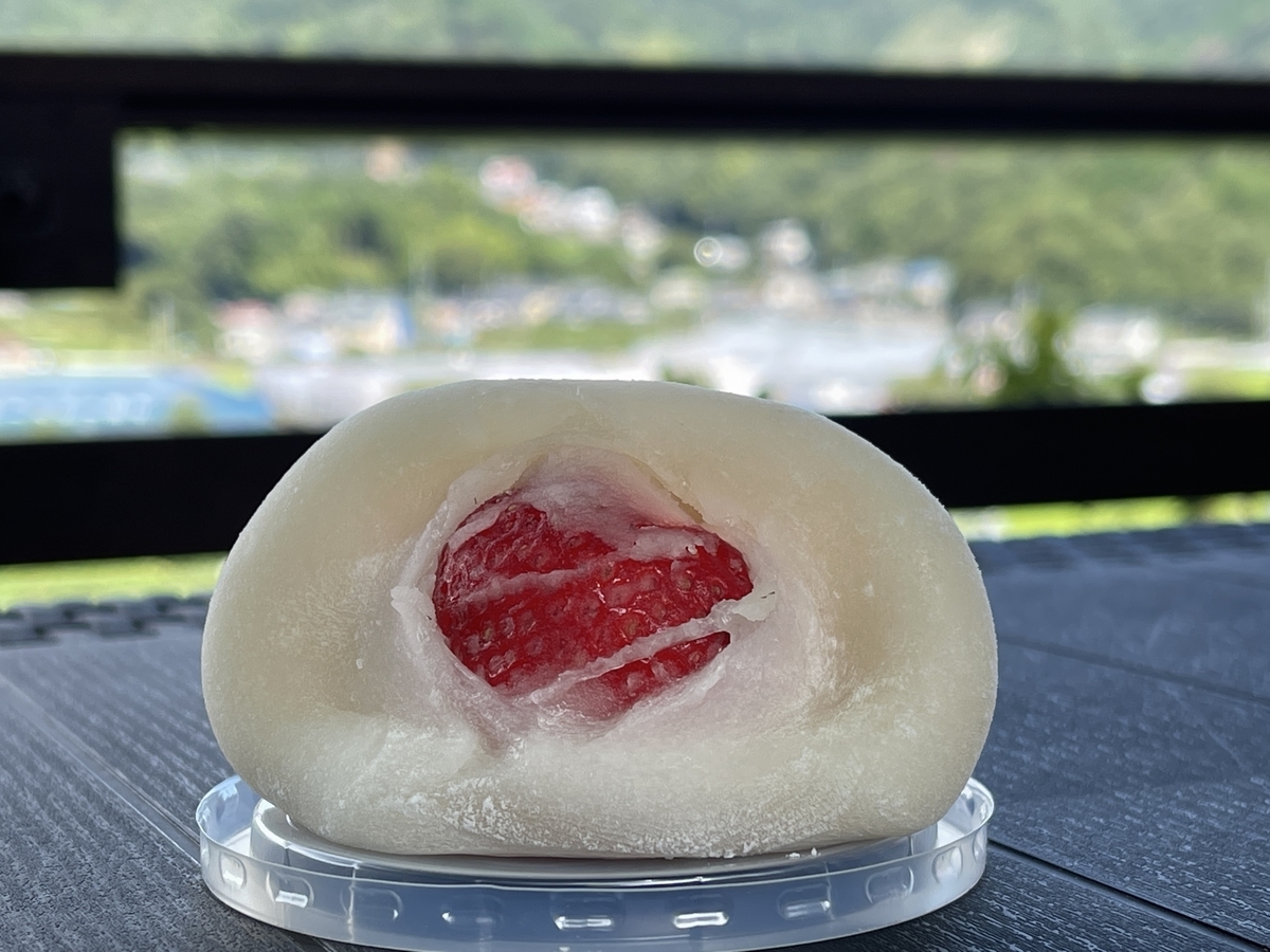 f:id:chiku-revo:20210820125519j:plain