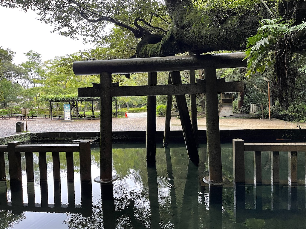 f:id:chiku-revo:20210904155736j:image