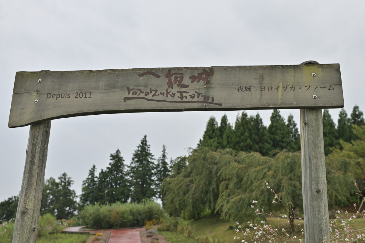 f:id:chiku-revo:20210929215514j:plain