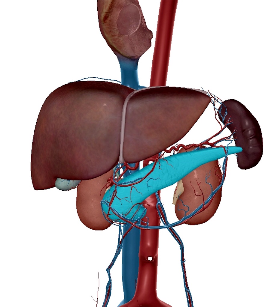 f:id:chikugiyuki:20190608190158j:image