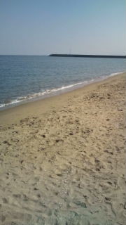 f:id:chikujo-k:20100221133138j:image