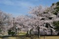 20100404091253