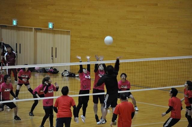 f:id:chikujo-k:20110307111403j:image f:id:chikujo-k:20110307111403j:image