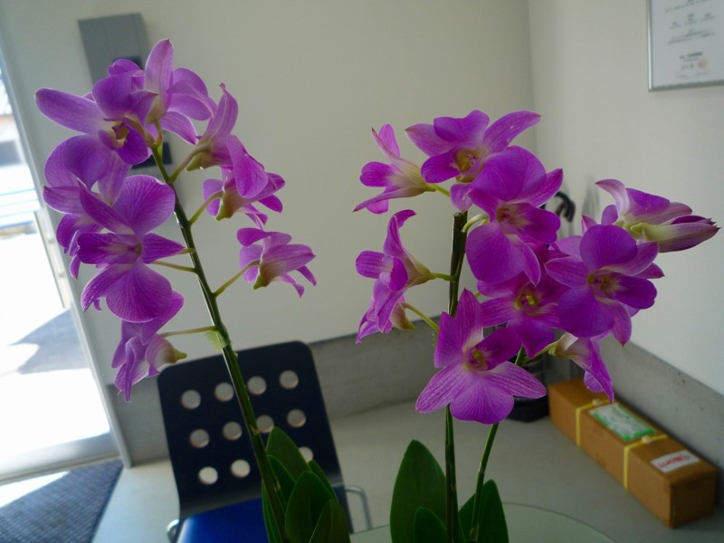 f:id:chikujo-k:20120731163001j:image