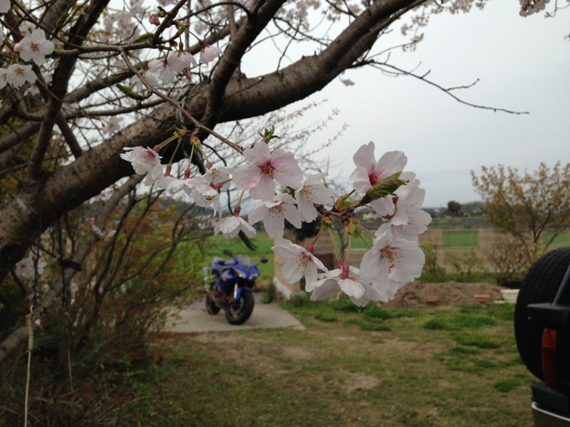 f:id:chikujo-k:20130404103049j:image