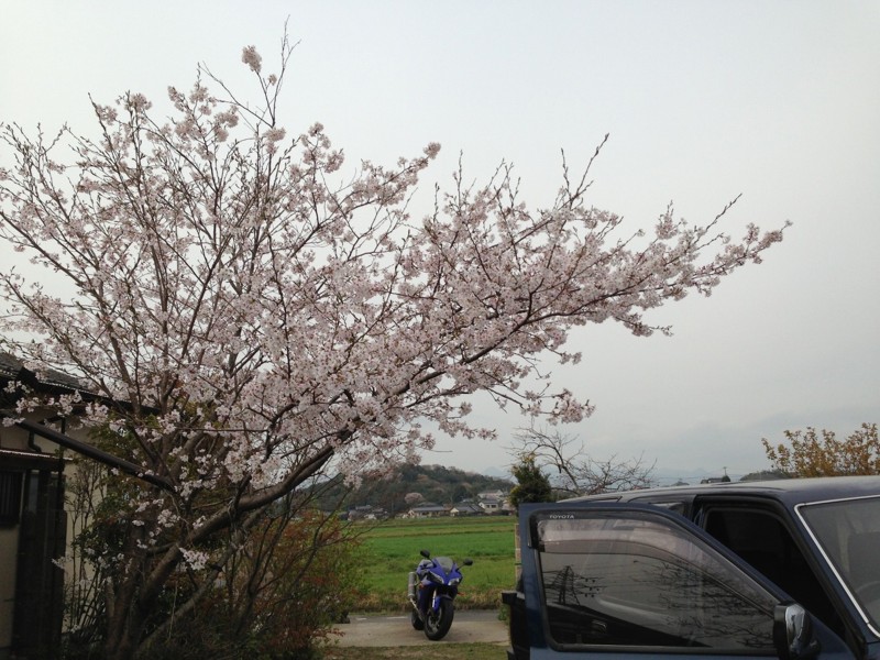 f:id:chikujo-k:20130404103051j:image